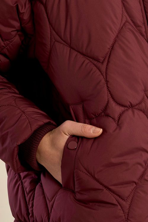 Chaqueta acolchada con capucha