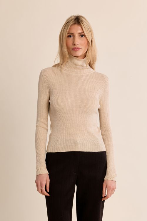 Ribbed turtleneck