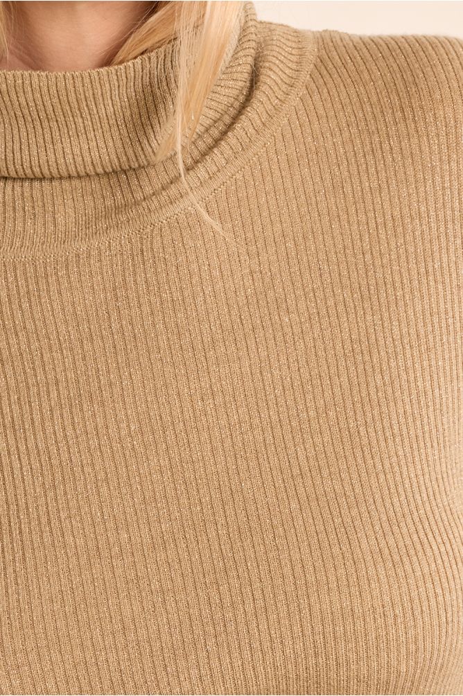 Ribbed turtleneck