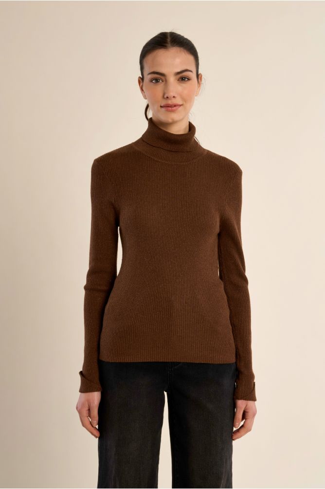 Ribbed turtleneck