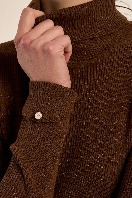 Ribbed turtleneck