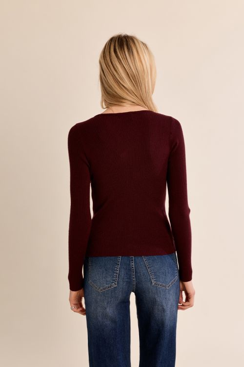 Long-sleeved top, lace V-neck
