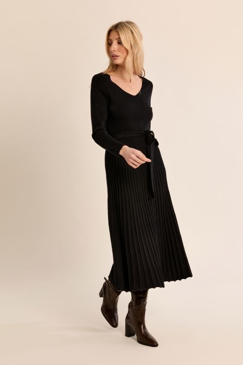 Long pleated dress
