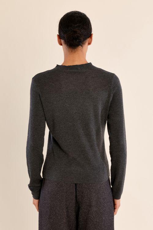 Long-sleeved top, semi-transparent collar