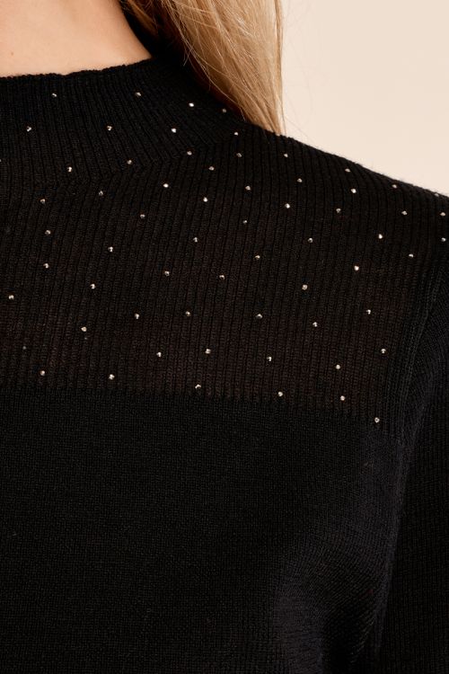 Long-sleeved top, semi-transparent collar