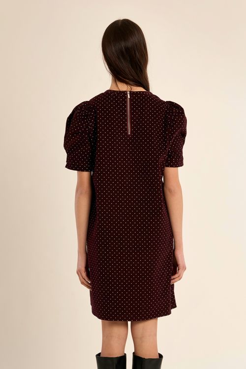 Short polka dot dress with leg of lamb sleeves