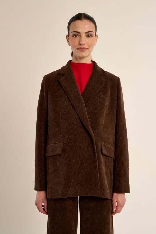 Blazer aterciopelado con cuello y solapa