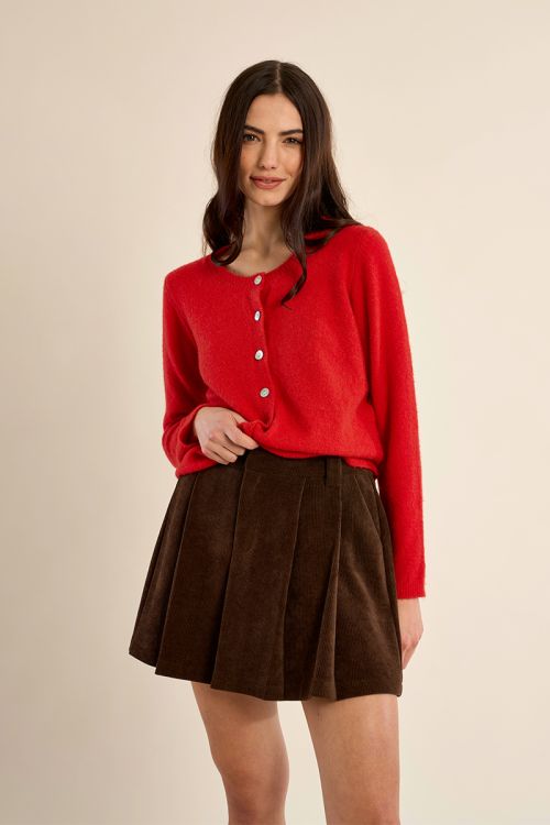 Pleated velvet skirt