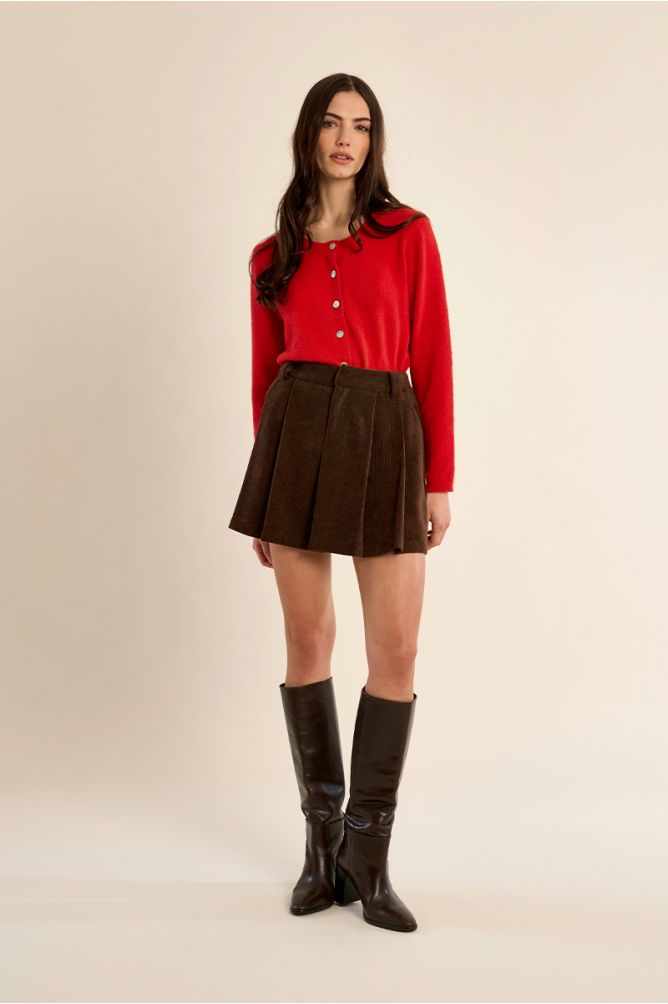 Pleated velvet skirt