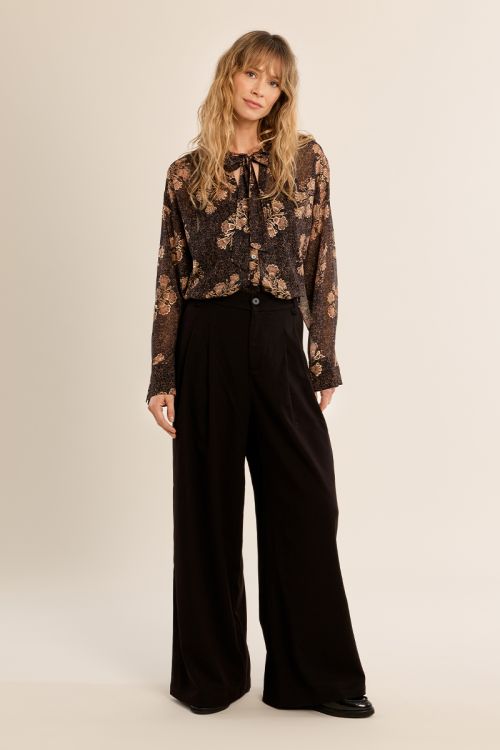 Semi-transparent collar blouse