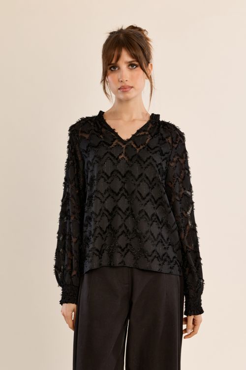 Blouse semi-transparente, col V