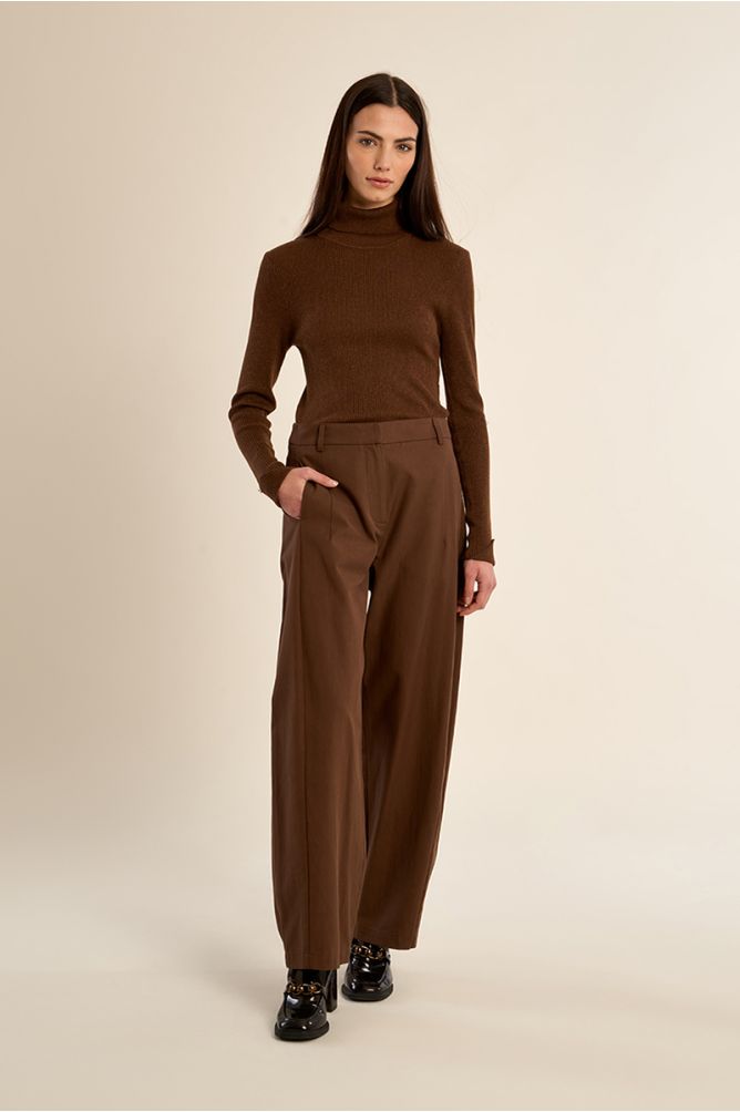 Wide leg pleated trousers