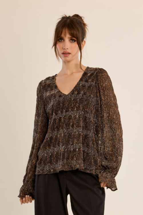 Long-sleeved blouse in semi-transparency