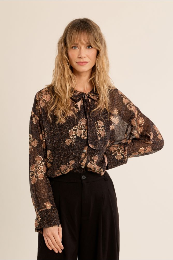 Semi-transparent collar blouse
