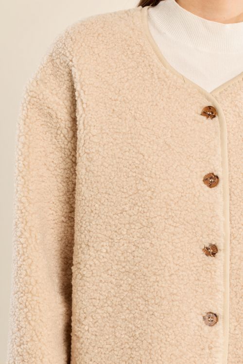 Button-down jacket, imitation sheepskin