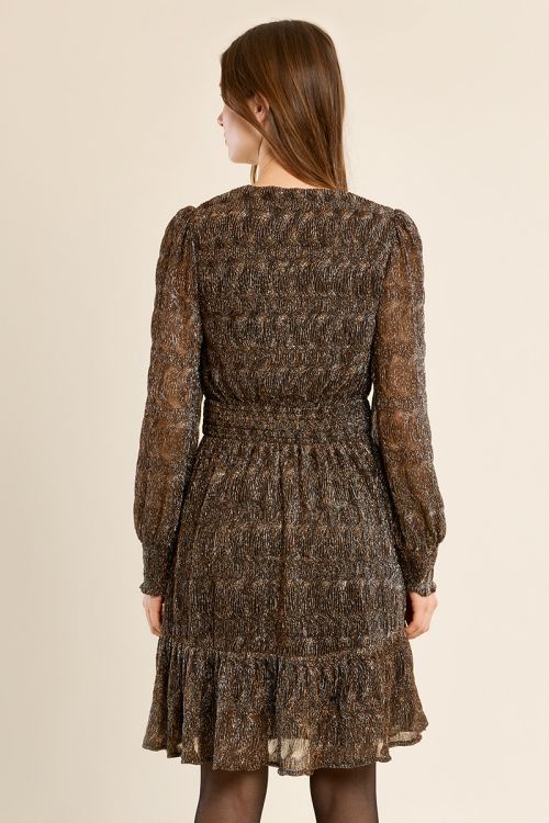 Short dress, semi-transparent sleeves