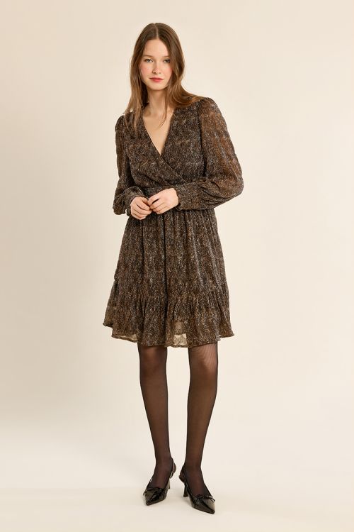 Short dress, semi-transparent sleeves