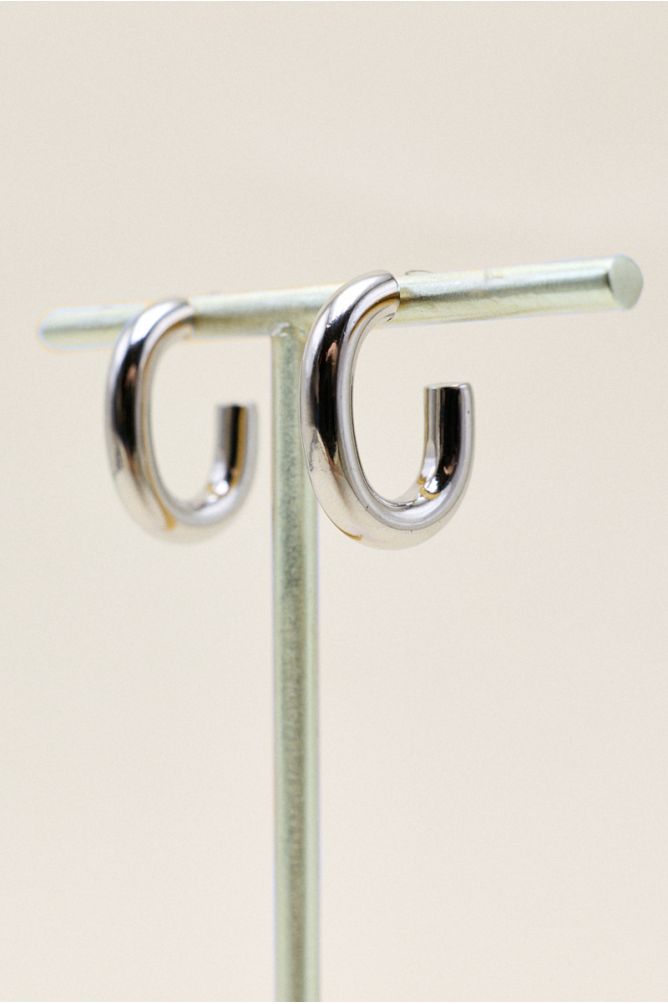 SILVER LOOPS