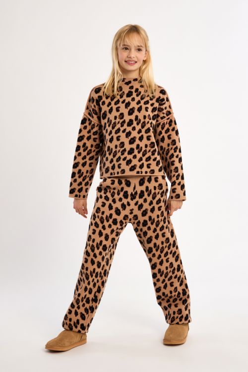 Pull en maille, imprimé animalier