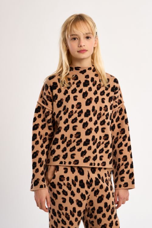 Knitted Sweater, Animal Print