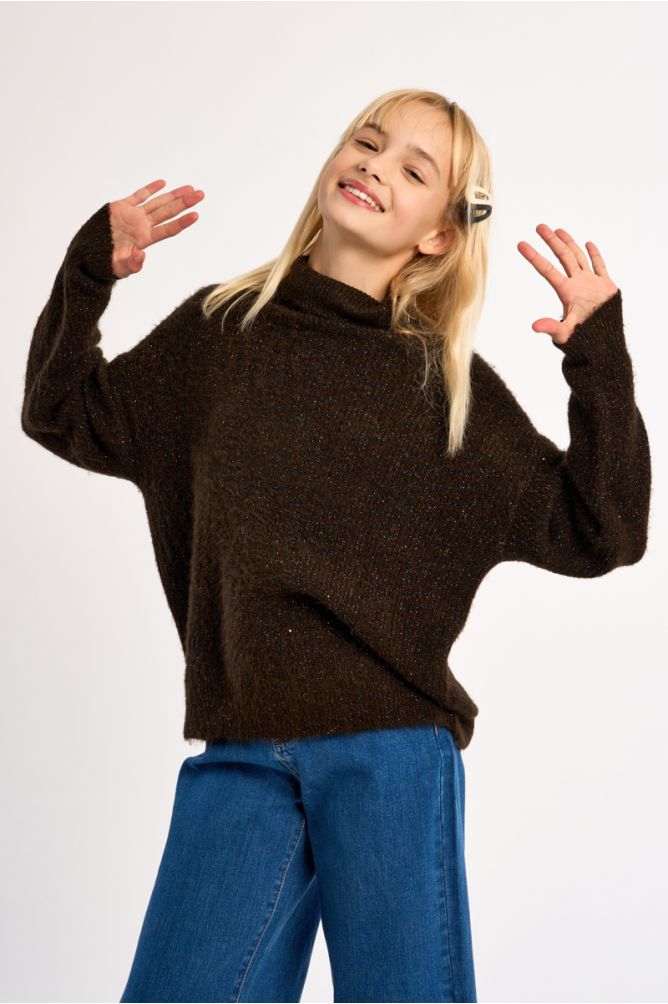 Turtleneck Knit Sweater