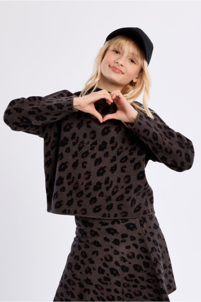 Pull en maille, imprimé animalier