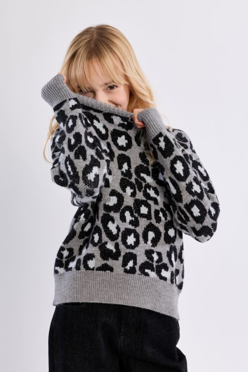 Pull en maille, imprimé léopard