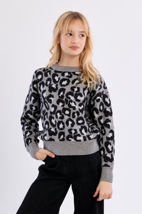 Pull en maille, imprimé léopard
