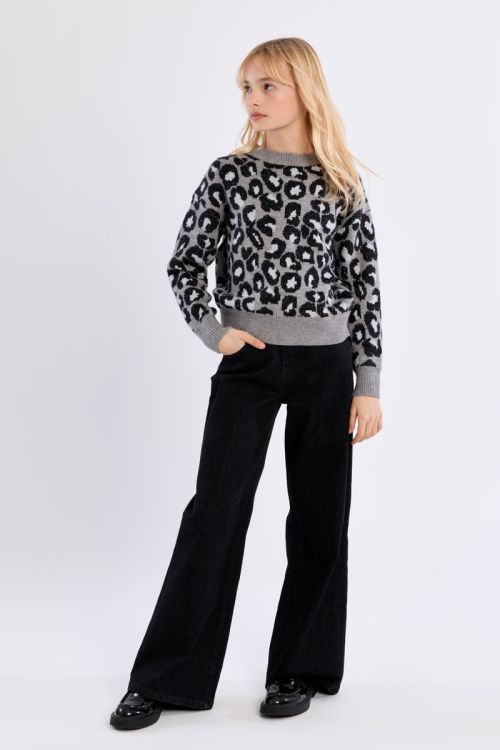 Knitted Sweater, Leopard Print