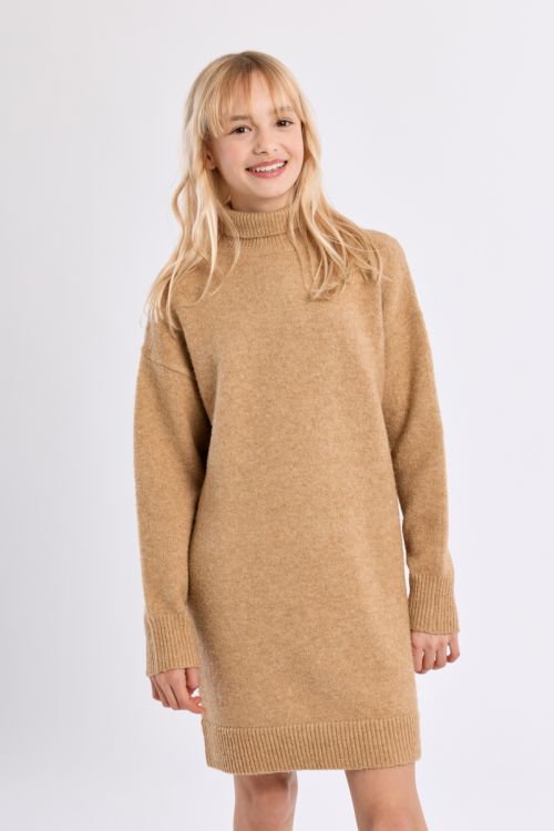 Knitted Dress, Turtleneck