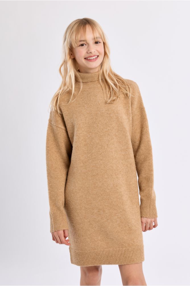 Knitted Dress, Turtleneck