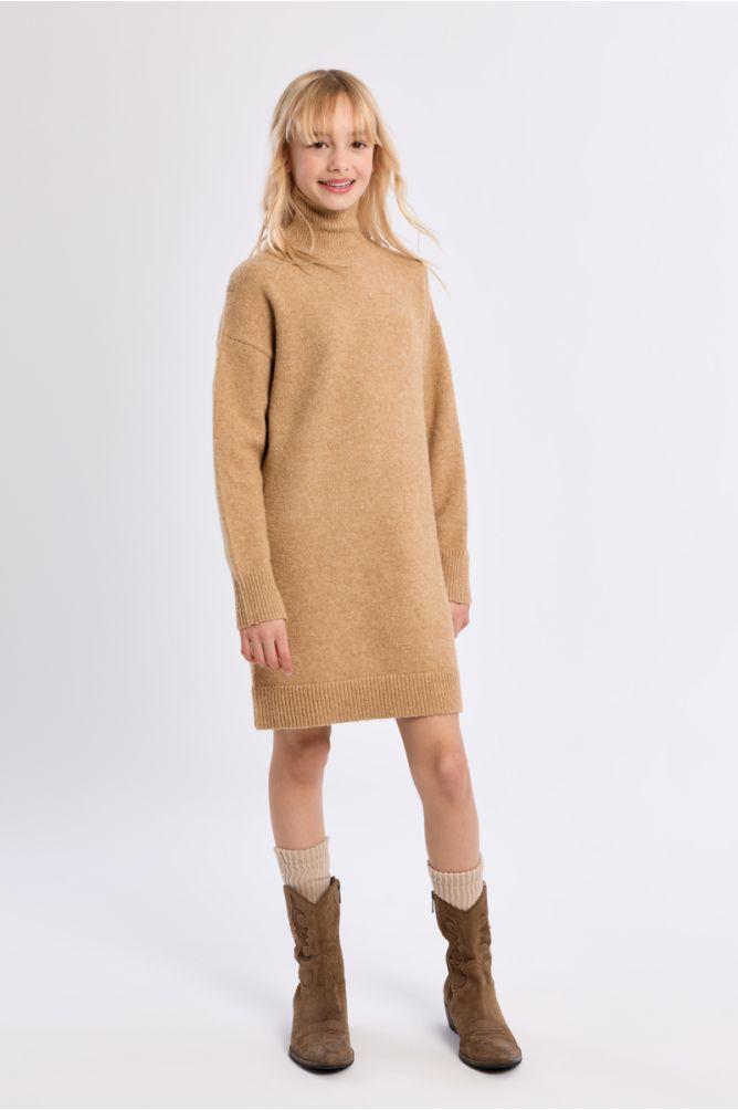 Knitted Dress, Turtleneck