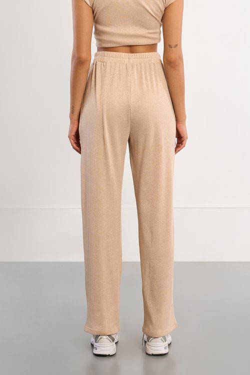 Iridescent jogger pants