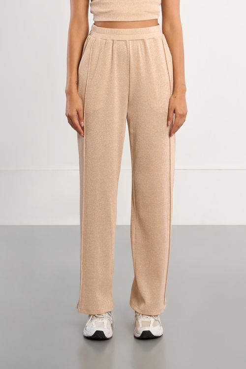 Iridescent jogger pants