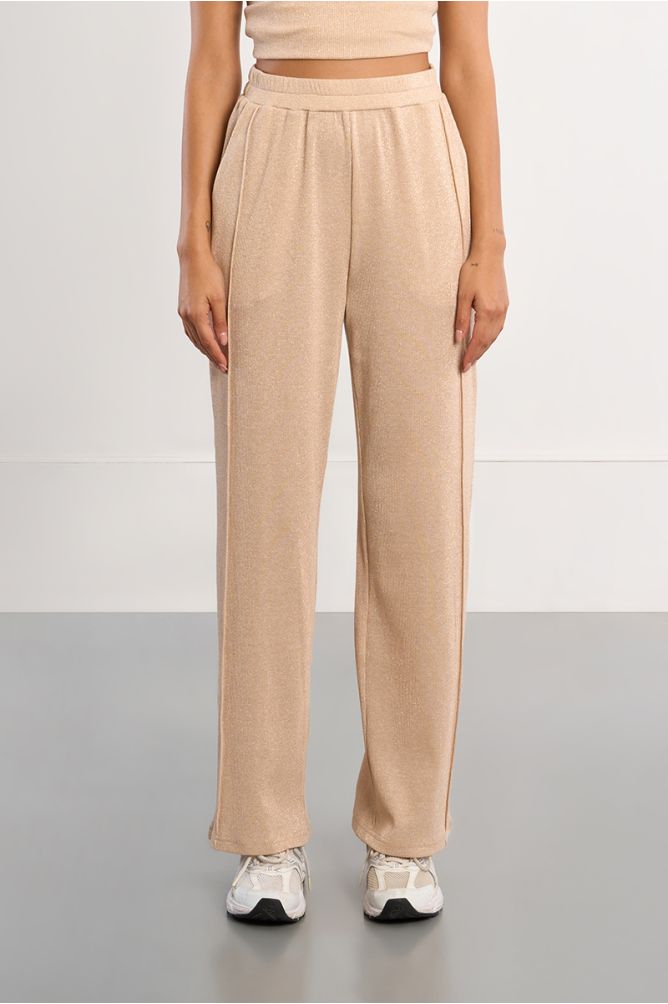 Iridescent jogger pants