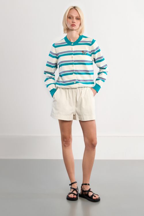 Striped Dachshund Vest