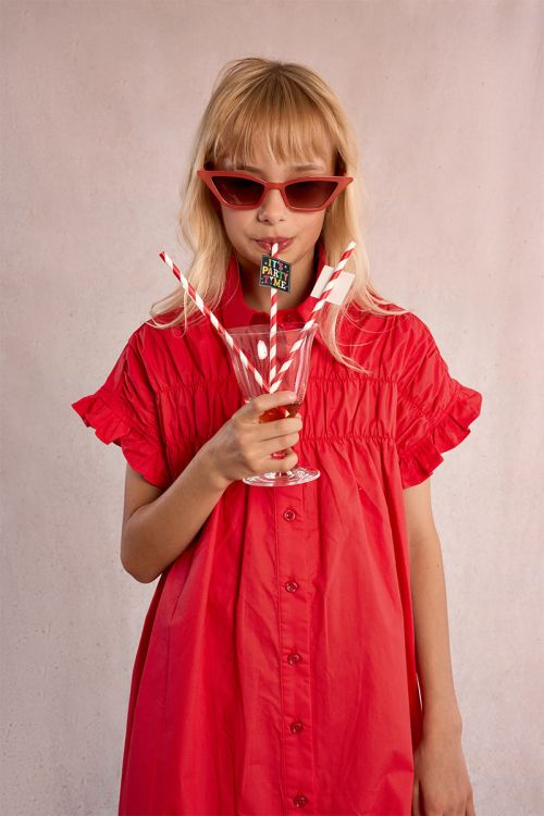 Smocked shirt dress
