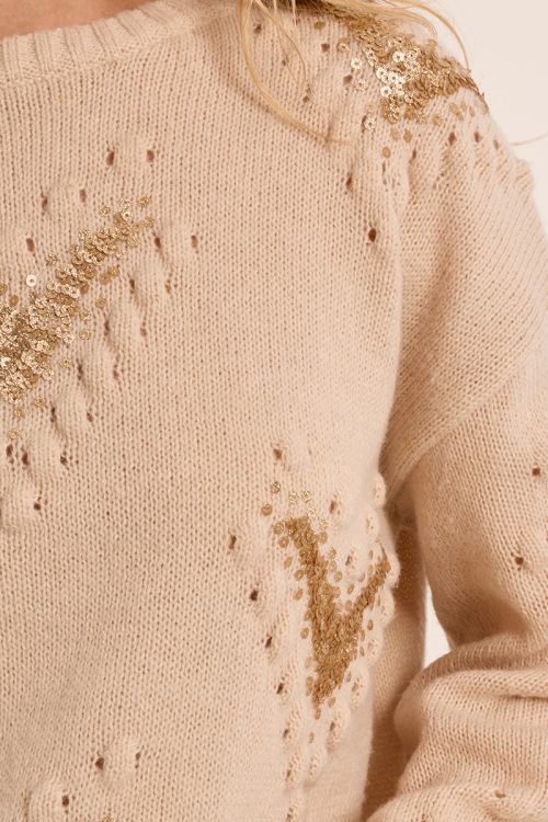 Sweater with fancy details