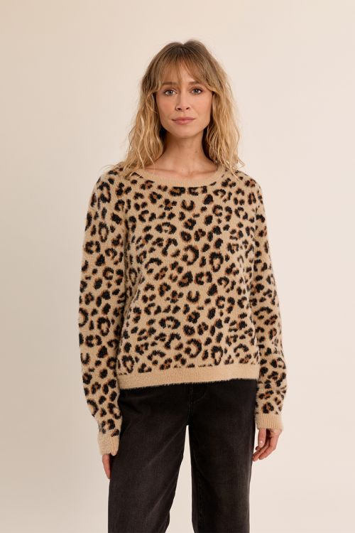 Leopard crop sweater