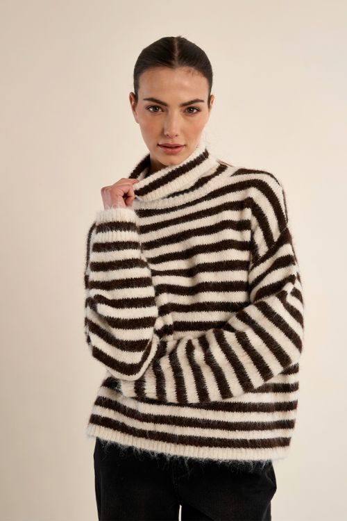 Pull col roulé rayé