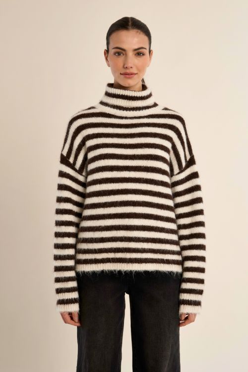 Pull col roulé rayé