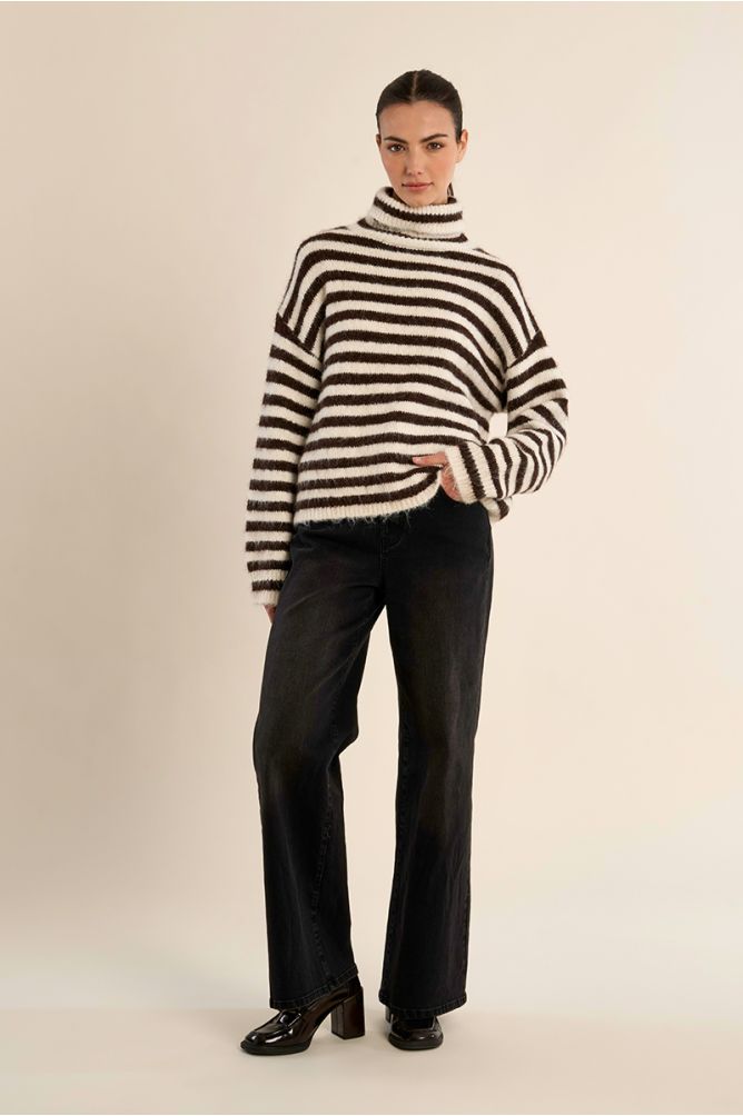 Pull col roulé rayé