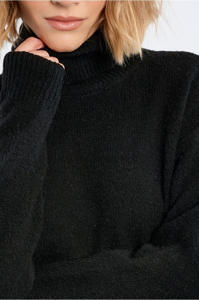 Plain turtleneck sweater
