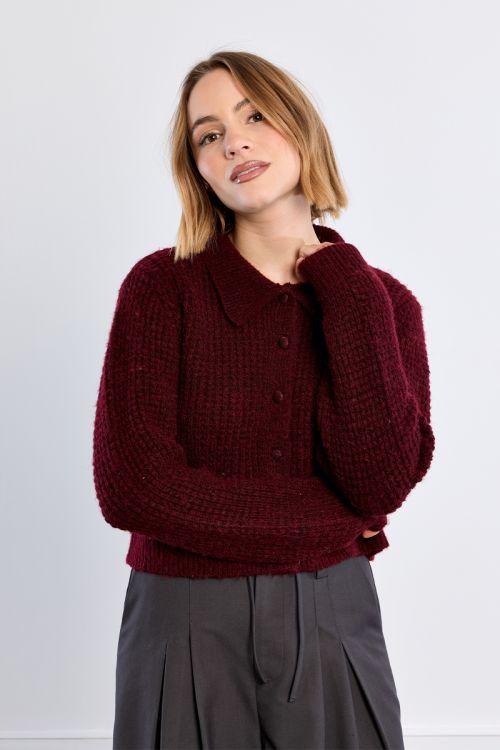 Buttoned cardigan, Preppy collar