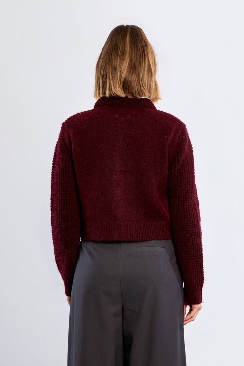 Buttoned cardigan, Preppy collar