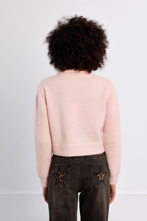 Buttoned cardigan, Preppy collar