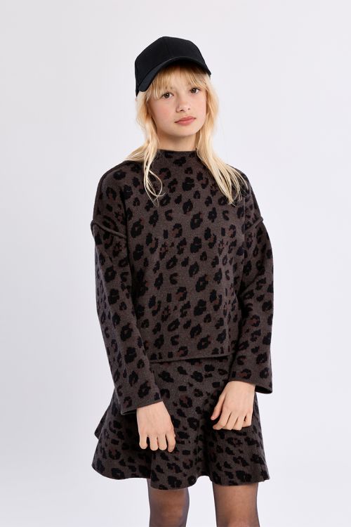 Knitted sweater, animal print