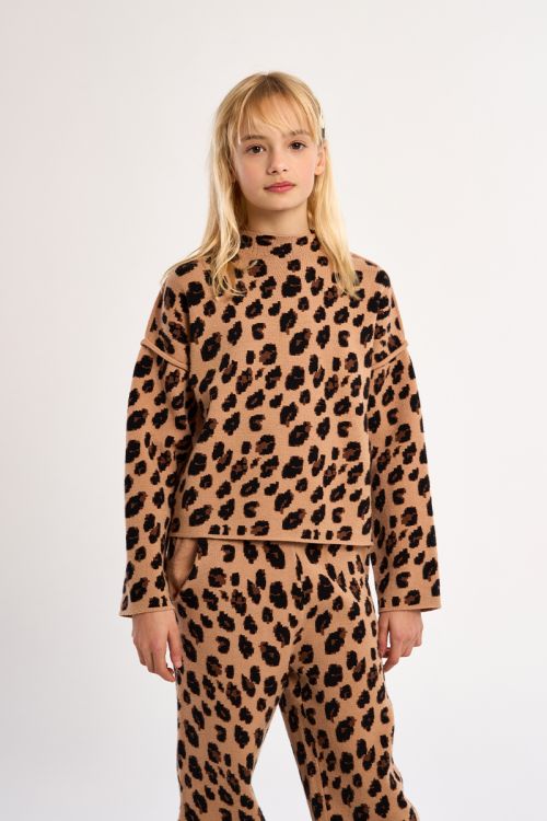 Knitted sweater, animal print