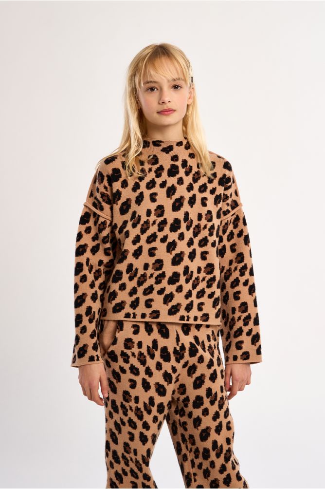 Pull en maille, imprimé animalier