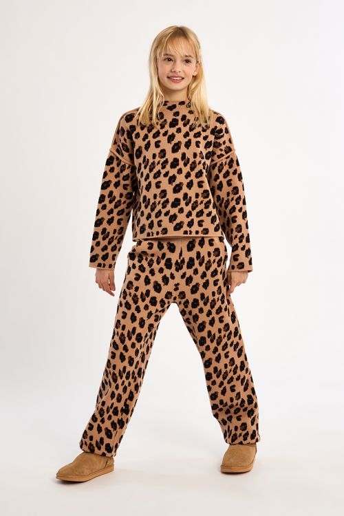 Knitted sweater, animal print
